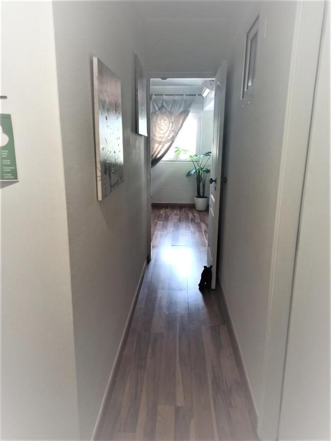 杏仁公园酒店 维拉摩拉 外观 照片